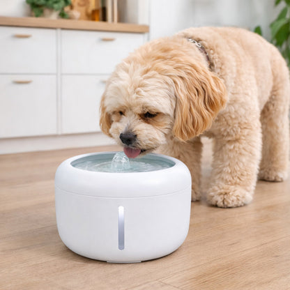 White pet water fountain on floor with dog drinking from the spout