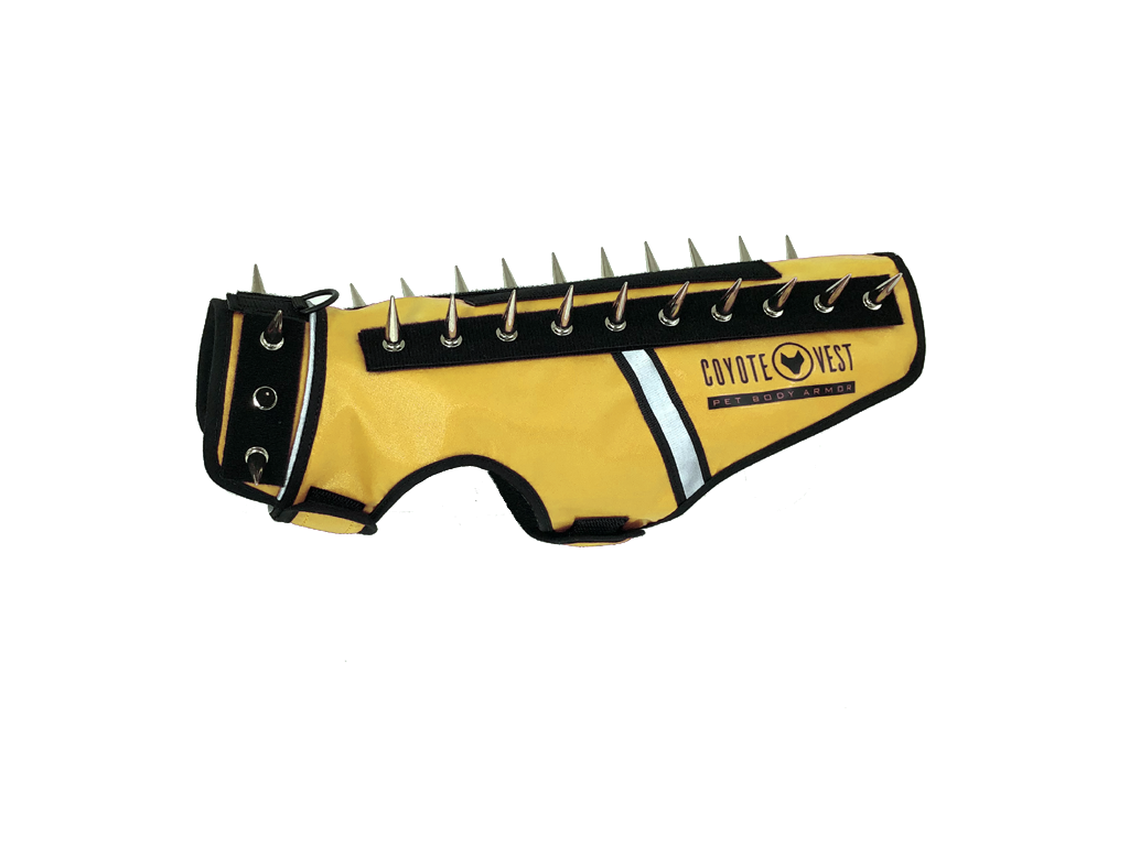 Yellow spike-studded cat vest with black trim and metal studs along top edge