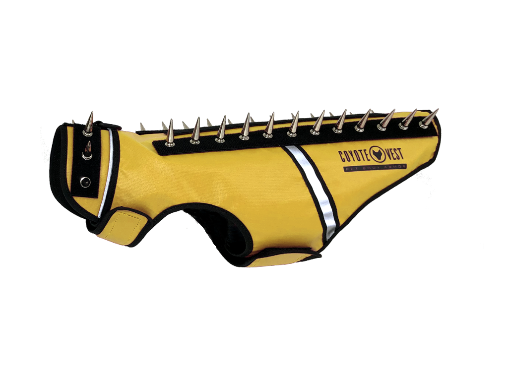 Yellow studded cat vest with black back panel, metal spikes, and white trim