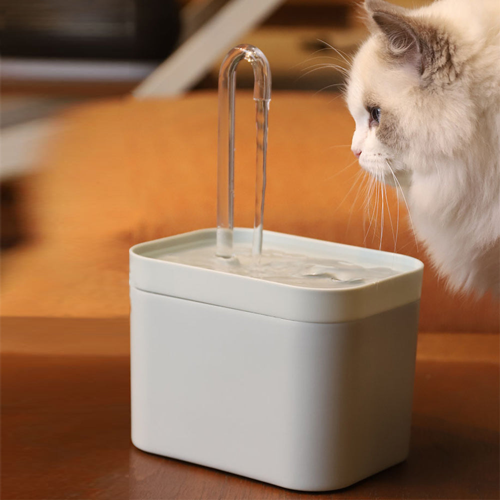 Automatic cat water fountain with clear drinking spout and white recirculating base