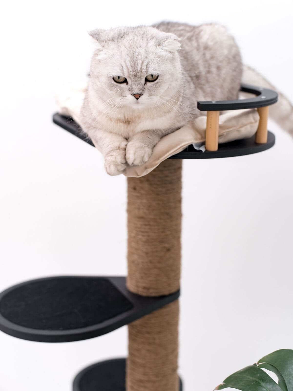 Small cat tree with cushioned top bed and black round perches on a sisal-wrapped post.