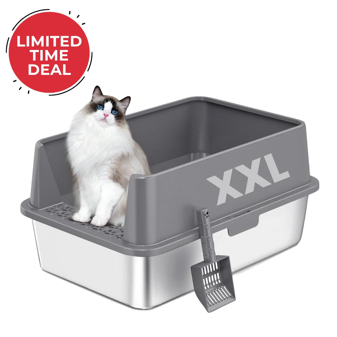 XXL gray cat litter box with high sides and included litter scoop, white cat inside