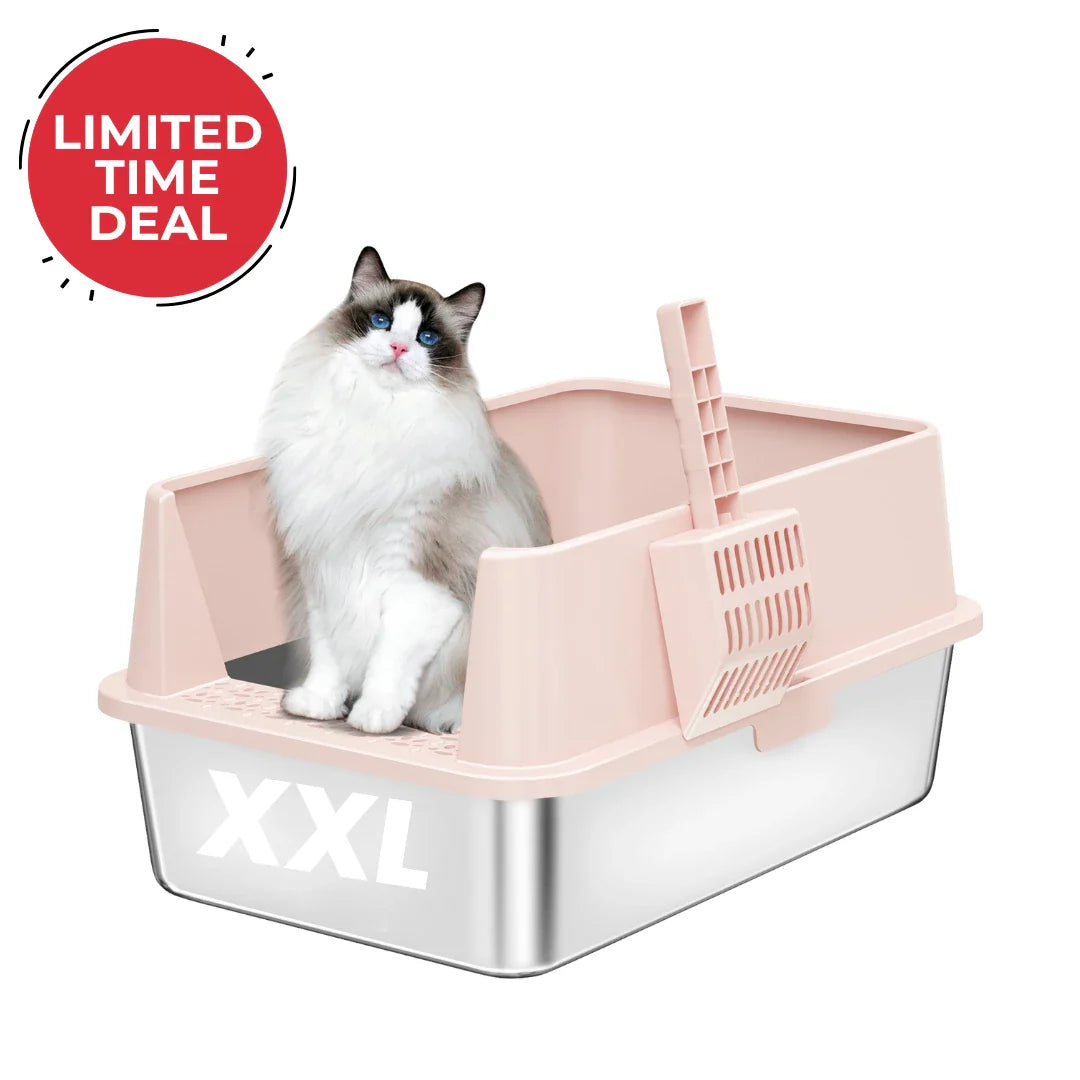 XXL pink and gray cat litter box with high sides and grate, white cat inside