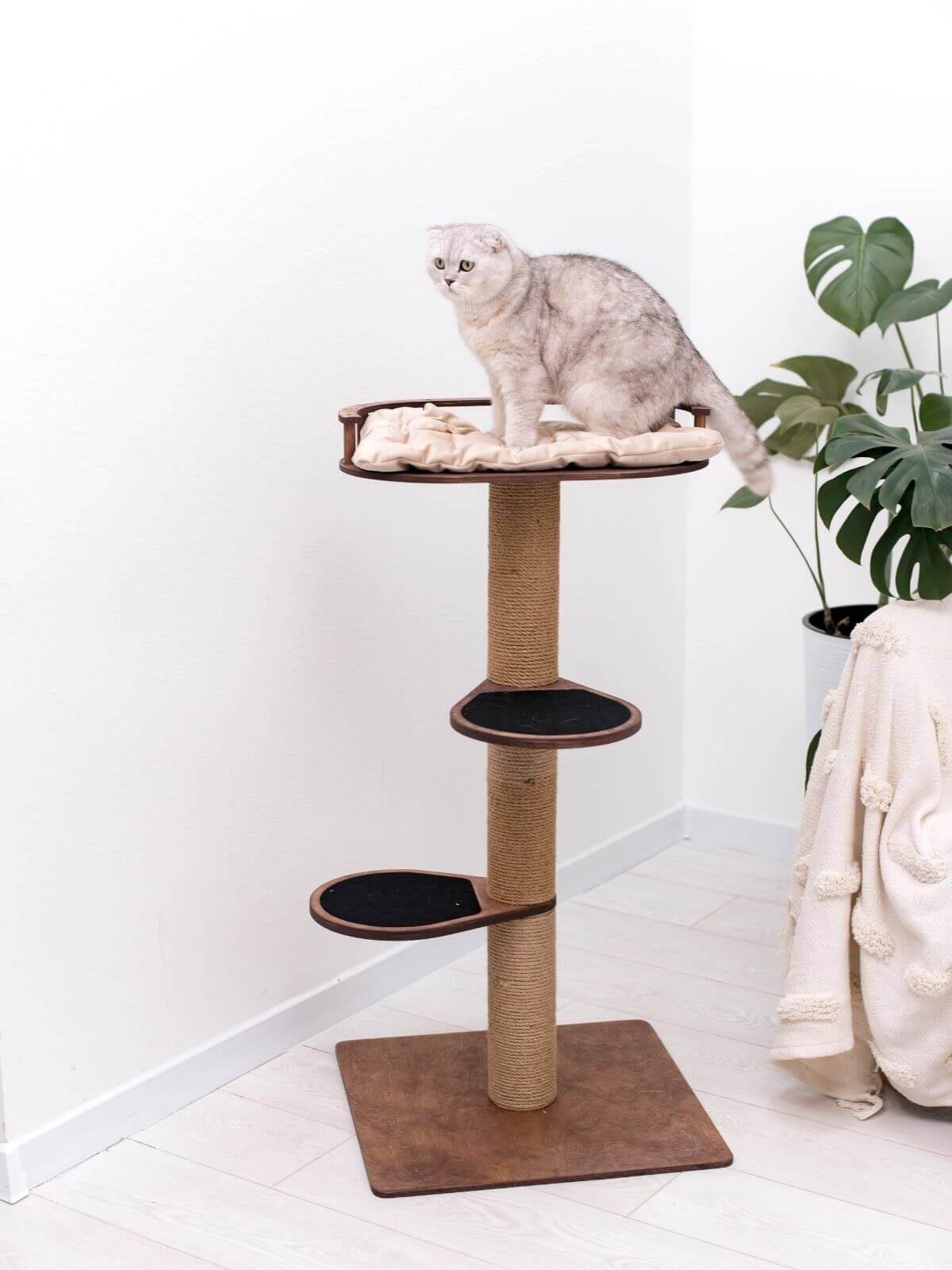 Small cat tree with cushioned top bed and two lower perches; cat sitting on top.