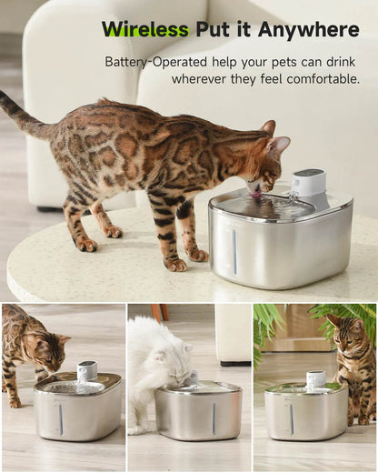 Tabby cat drinking from stainless steel cordless pet water fountain, water surface visible