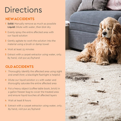 Directions panel showing a dog on carpet with pet stain removal steps