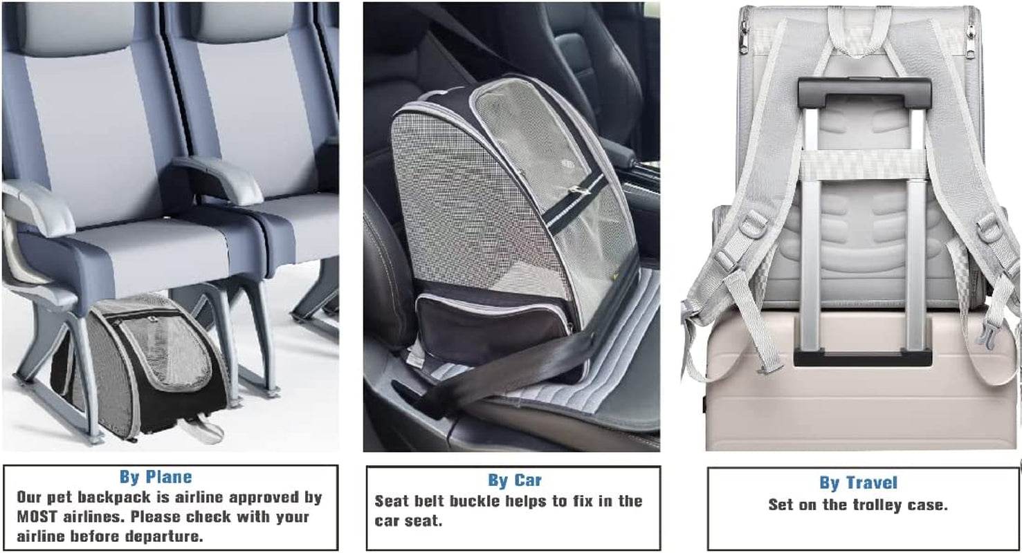 Grey bubble pet travel carrier shown in car seat and trolley carry configurations