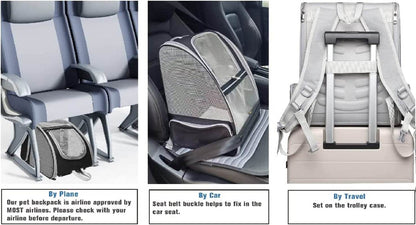 Grey bubble pet travel carrier shown in car seat and trolley carry configurations