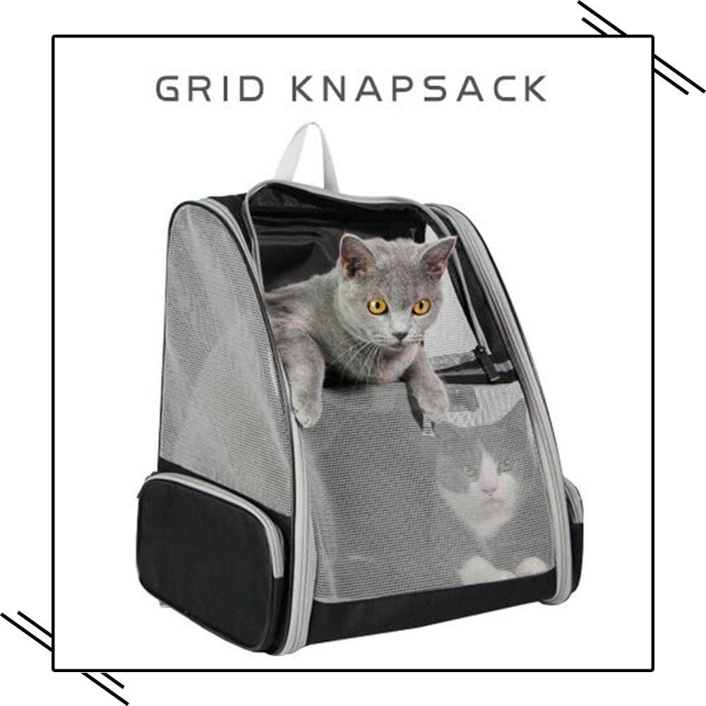 Grey bubble pet travel carrier with cats inside, clear mesh front and padded interior