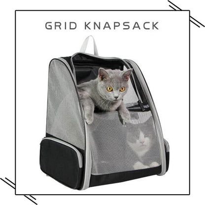 Grey bubble pet travel carrier with cats inside, clear mesh front and padded interior