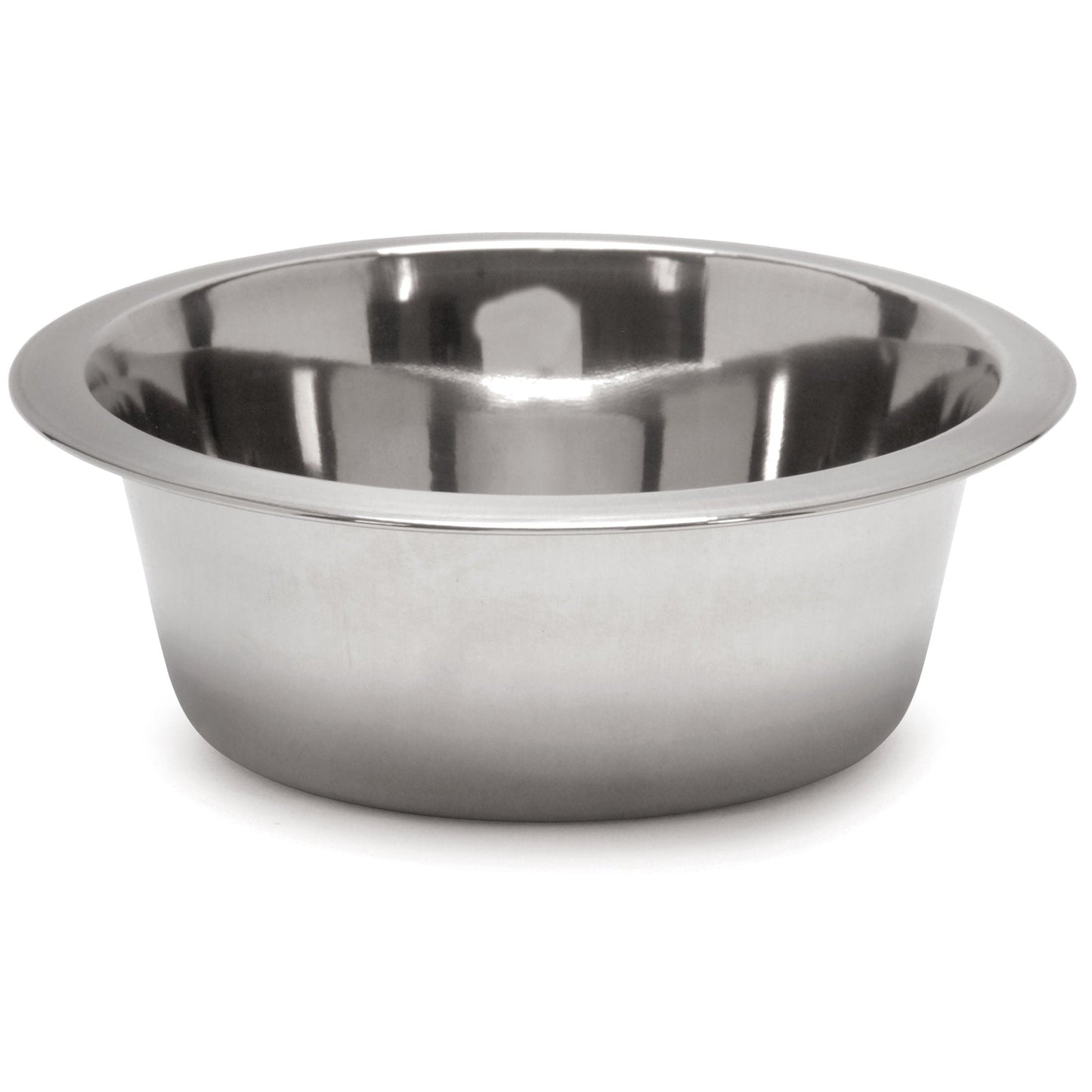 Stainless steel pet food and water bowl with wide rim, front view