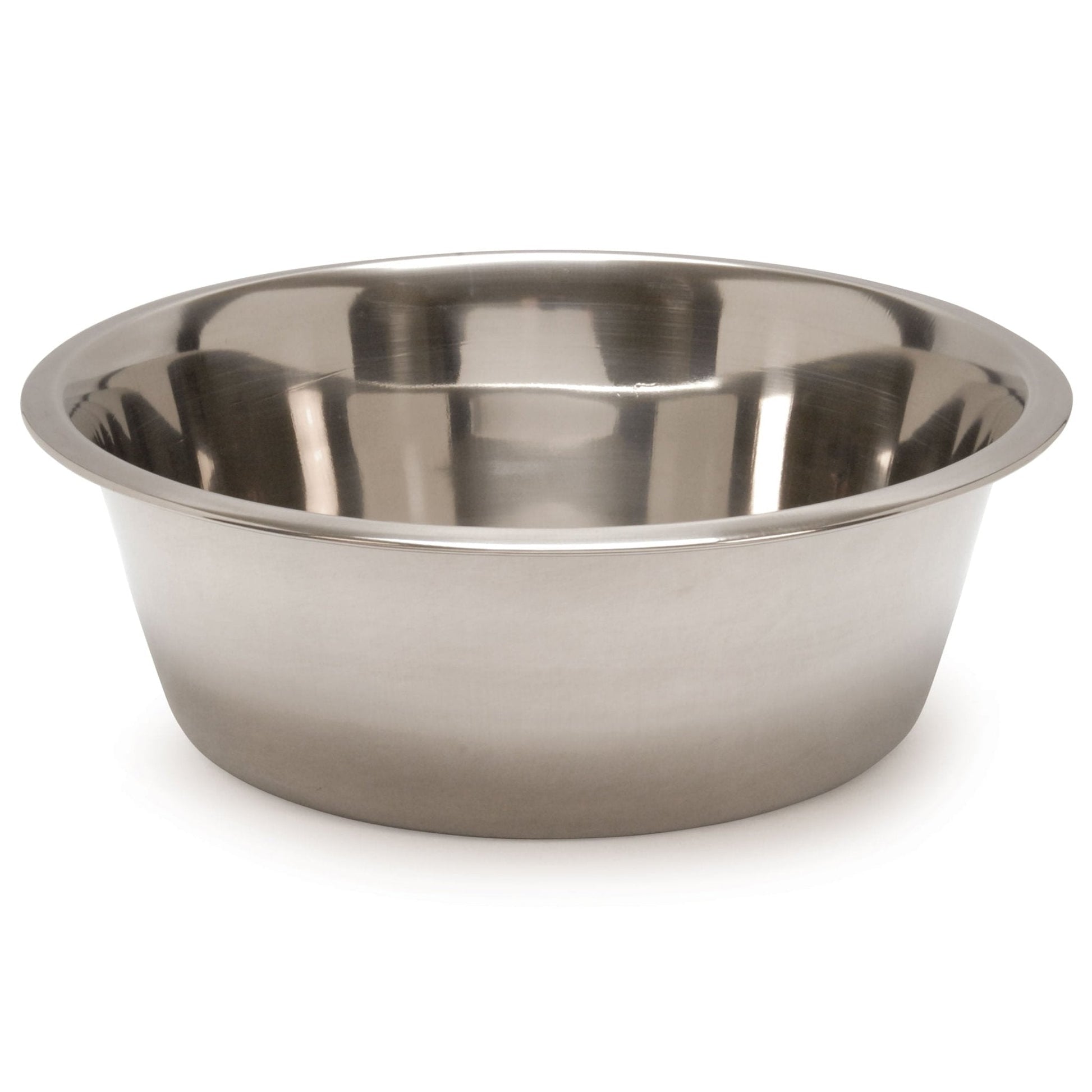 Stainless steel pet food and water bowl with shiny interior, centered front