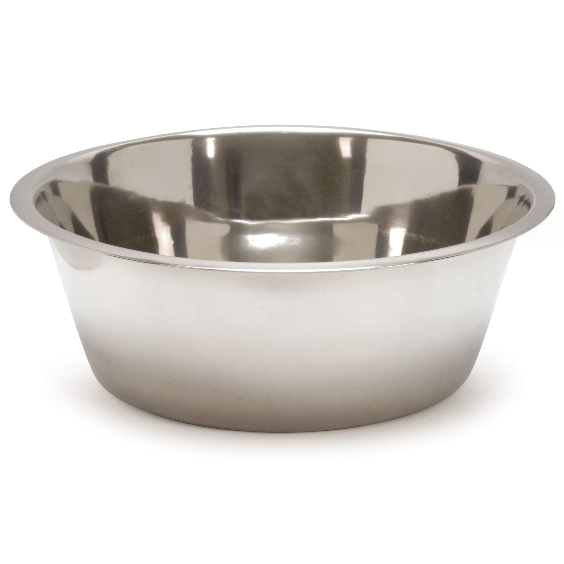 Stainless steel pet food and water bowl with wide rim, side-front view