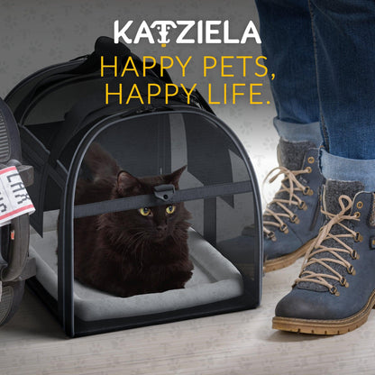 Black mesh-window pet carrier holding a dark cat on the plush interior pad