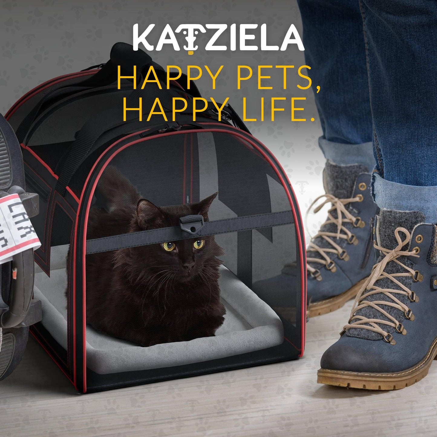Black and red rolling pet carrier with mesh viewing windows and a cat inside