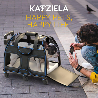 Blue-trim pet carrier with mesh windows and telescopic handle beside a seated child