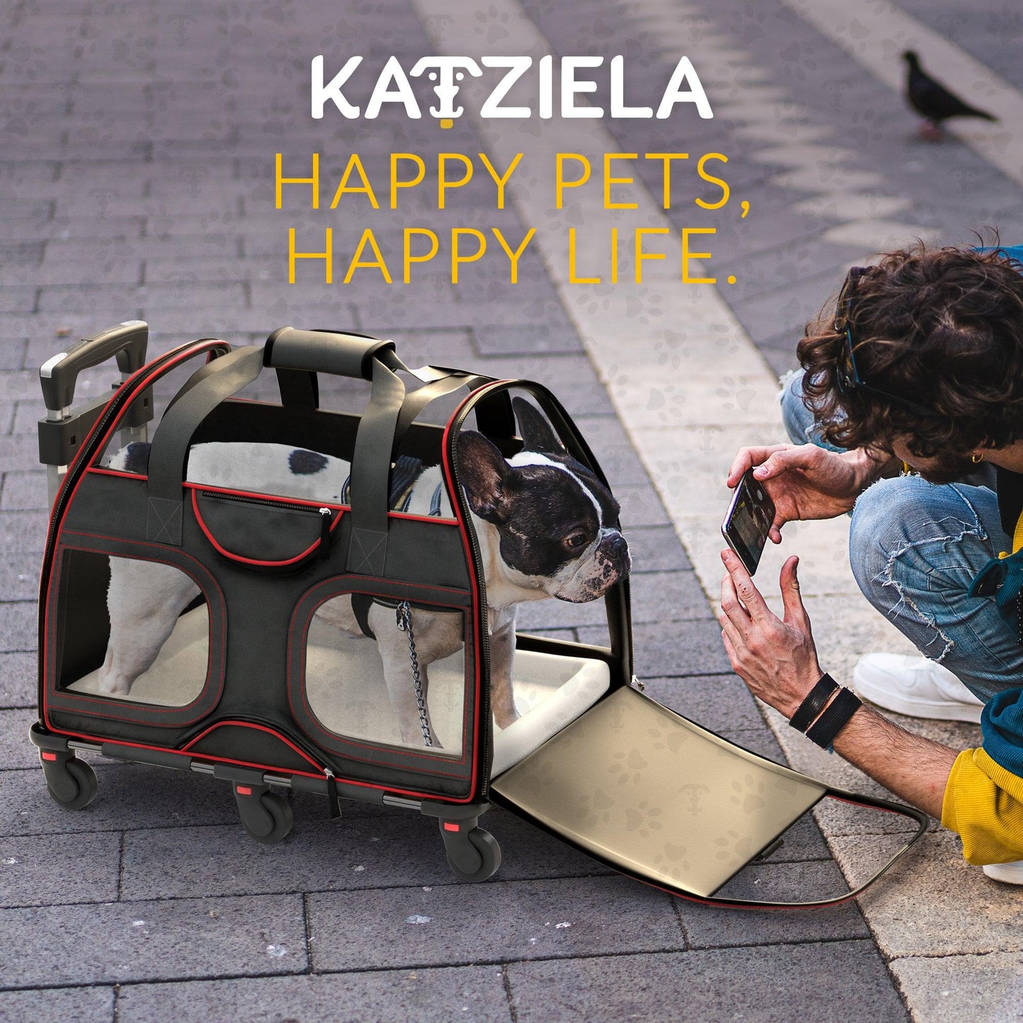 Gray pet carrier with red trim, mesh windows, and rolling wheels used outdoors