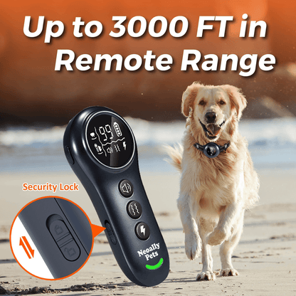 Dog bark control remote and collar with adjustable strap, shown with running dog