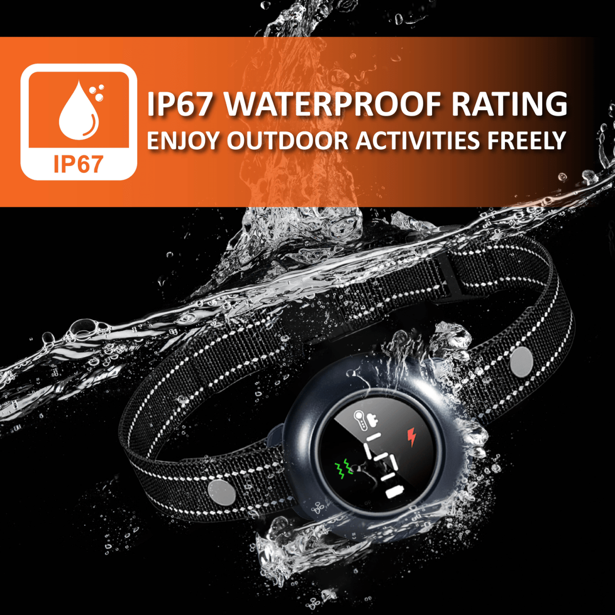 Water-resistant dog training collar with black remote and round receiver on strap