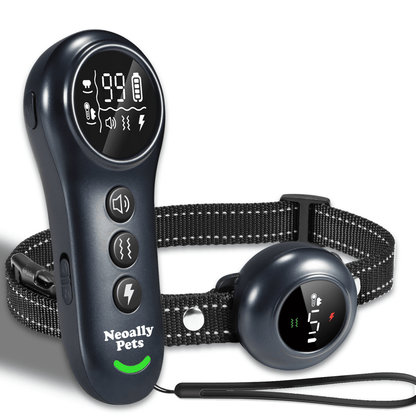 Automatic dog training and bark control collar with black remote and round receiver