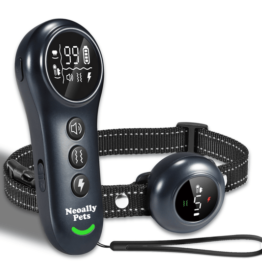 Automatic dog training and bark control collar with black remote and round receiver