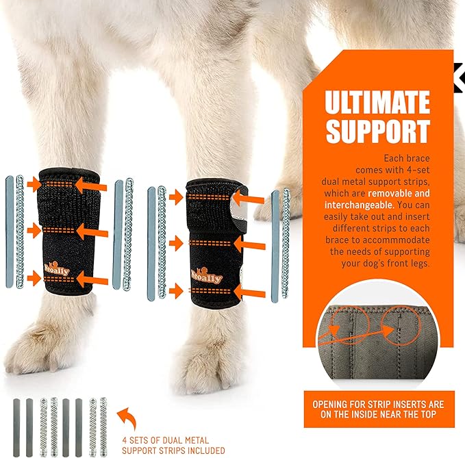Black 3-in-1 dog front leg splint brace with dual support strips and straps