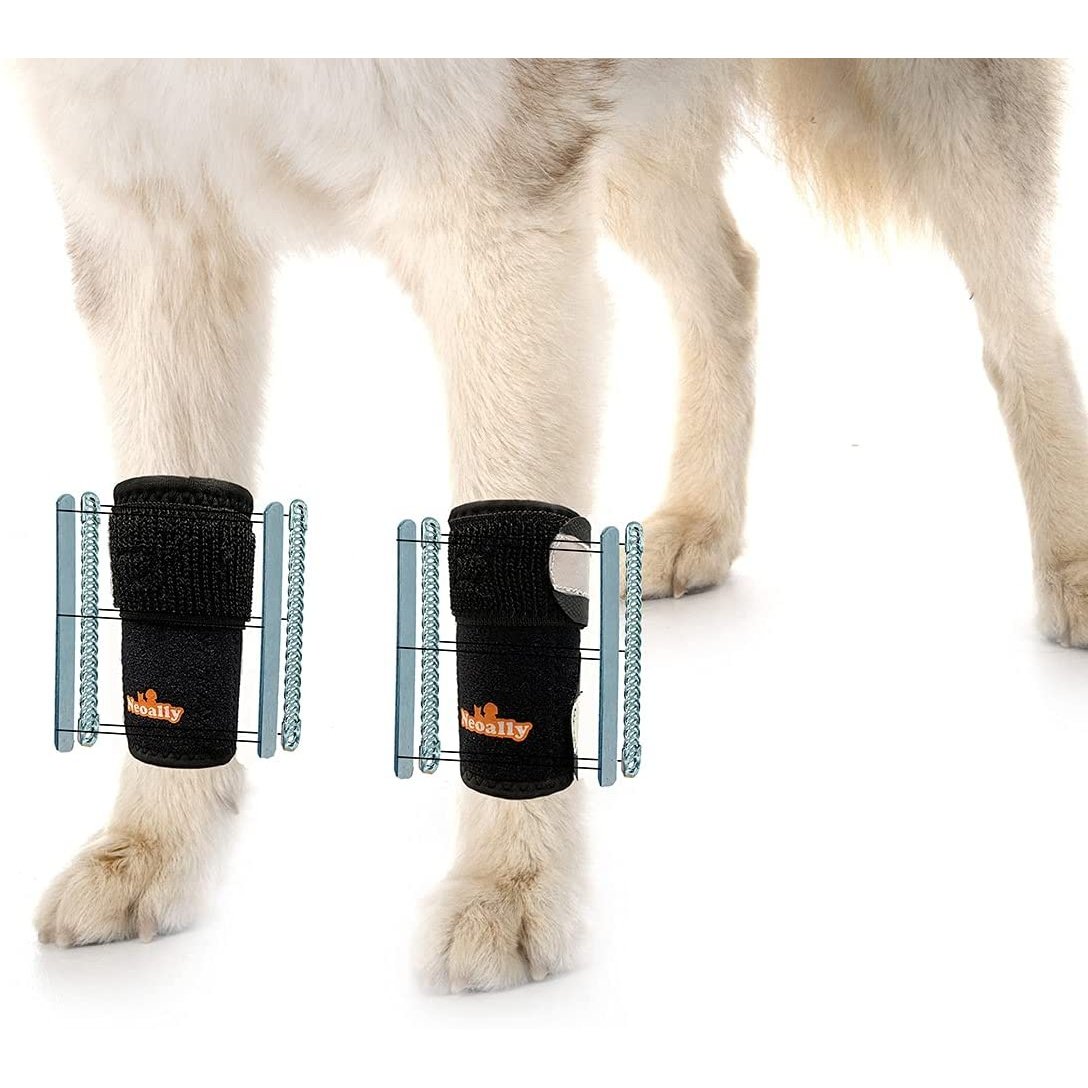 Black front leg dog splint brace with reflective straps and insert supports (pair)