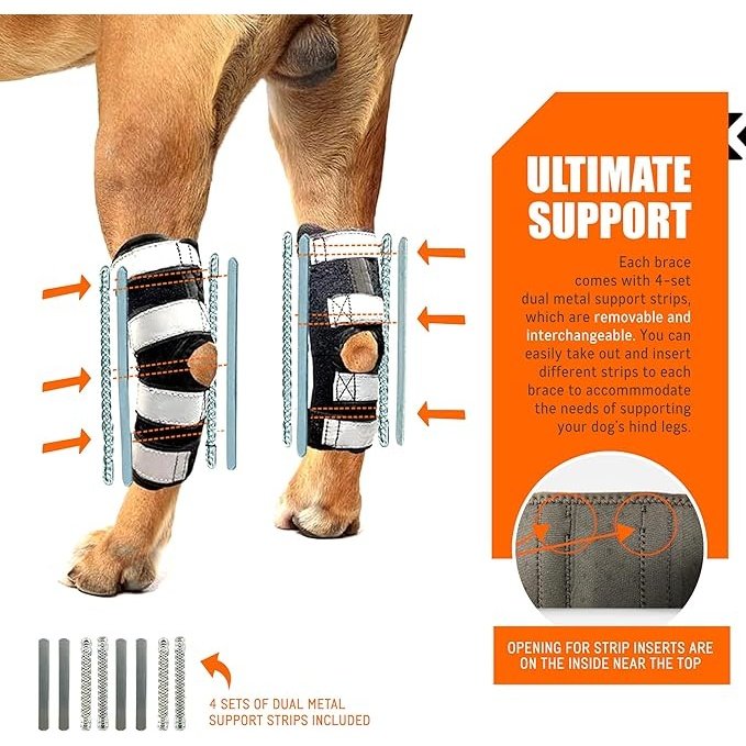 Pair of long rear leg hock braces with black covers and metal support inserts