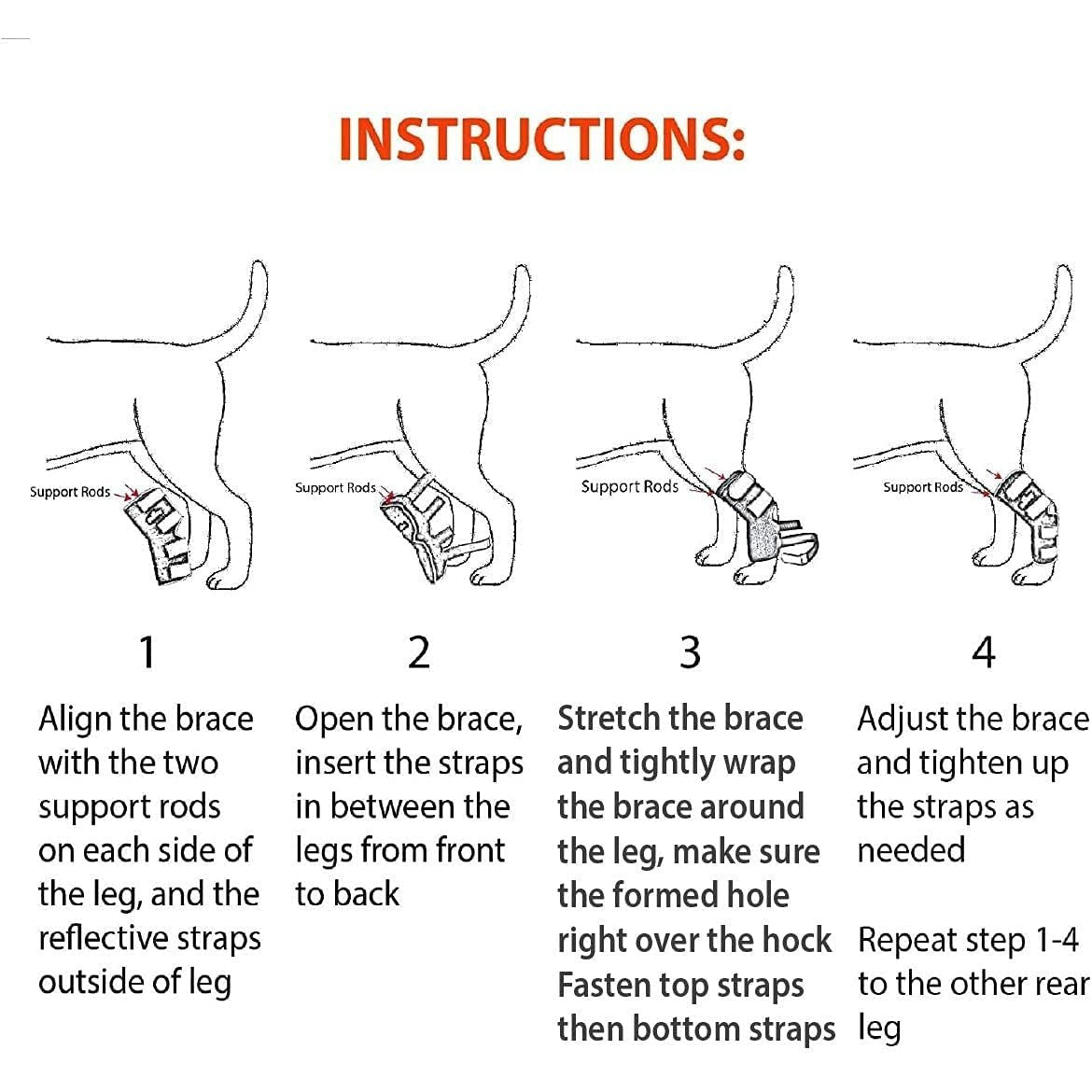 Long rear leg hock brace instructions steps with adjustable straps