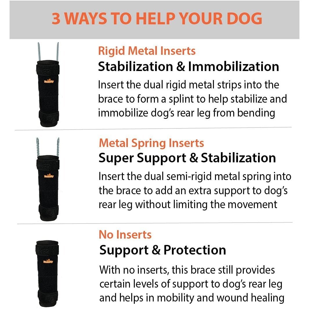 Long rear leg brace showing rigid and spring metal insert support options