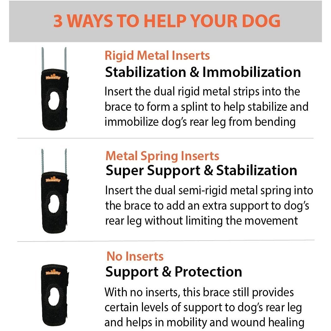 Rear leg brace with three insert options: rigid metal, spring, or no inserts