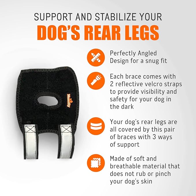 Black rear leg brace pair with reflective safety straps for angled rear-leg support