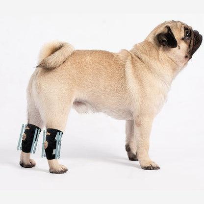 Black rear leg hock brace with reflective straps, worn on a small dog