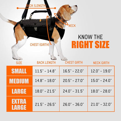 Dog wearing black lifting harness showing neck, chest girth, and back-length sizing