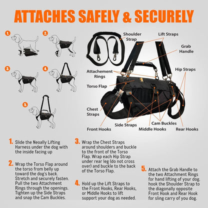 Dog lifting harness attachment diagram with straps, buckles, and front hooks