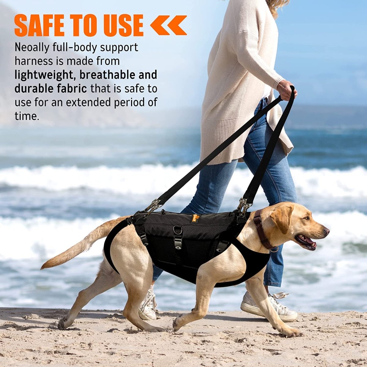 Dog wearing black full-body lift harness with top lift straps and grab handle