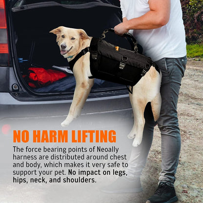 Dog supported in black lift harness with chest straps and side grab handle