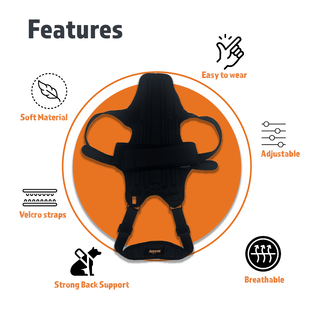 Dog back brace features diagram: soft material, adjustable straps, breathable support