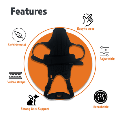 Dog back brace features diagram: soft material, adjustable straps, breathable support