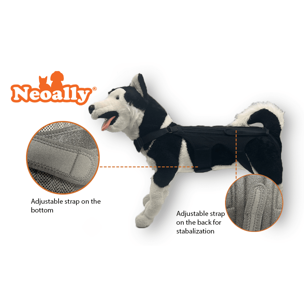 Dog back brace with adjustable stabilizing straps and padded support panels