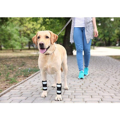 Dog wearing black front leg braces with gray reflective bands while walking outdoors