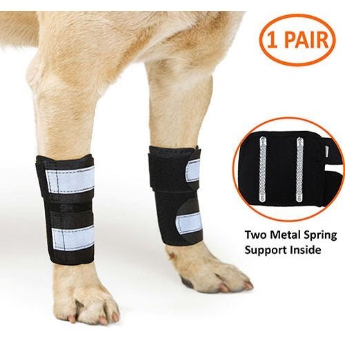 Black dog front leg braces with light-gray reflective straps and metal spring support inserts