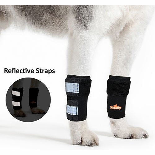 Black dog front leg braces with reflective gray straps, shown on front legs