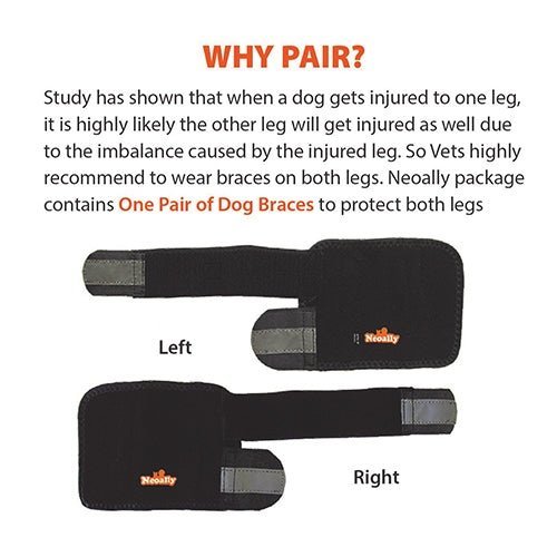 Pair of black dog front leg braces, left and right, with reflective gray inserts
