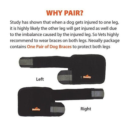 Pair of black dog front leg braces, left and right, with reflective gray inserts