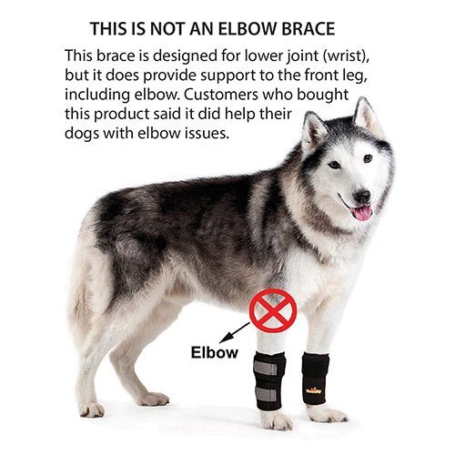 Dog wearing black front leg braces; elbow-brace warning icon shown