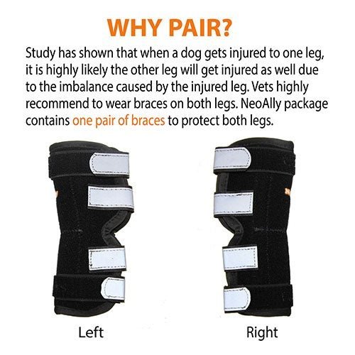 Pair of dog rear leg hock braces, left and right styles, black with white fastening pads