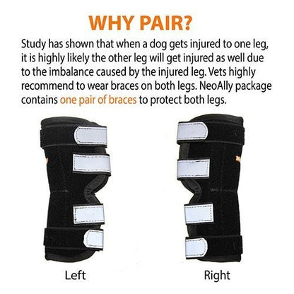 Pair of dog rear leg hock braces, left and right styles, black with white fastening pads
