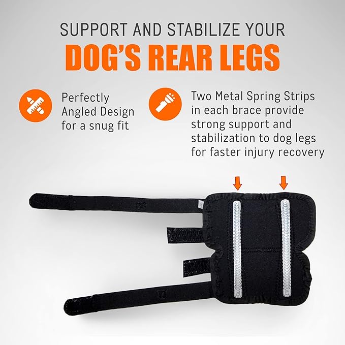 Close-up dog rear leg hock brace with two metal spring strips and black support wrap