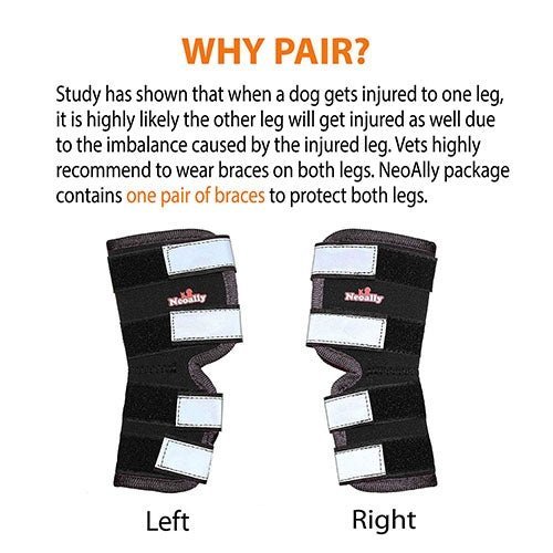 Pair of left and right black hock braces with reflective silver strap panels